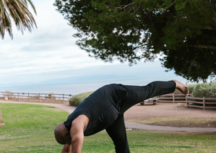 海靈兔圖騰藝術 HealingHare Art